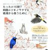 シンポジウムのお知らせ「たったの16頭!? 四国のツキノワグマを絶滅から救うために」